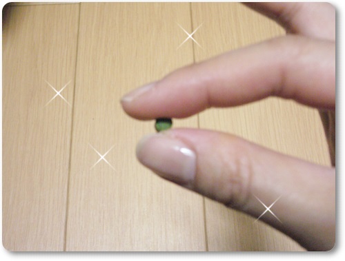 エボラのスーパーミドリムシ お試しセット